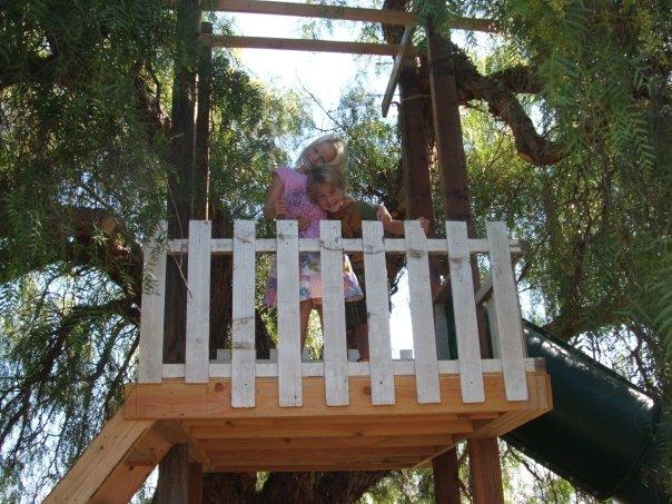 Tree house we built yesterday.