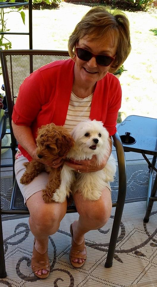 Pam with new friends. Puppies are new cousins