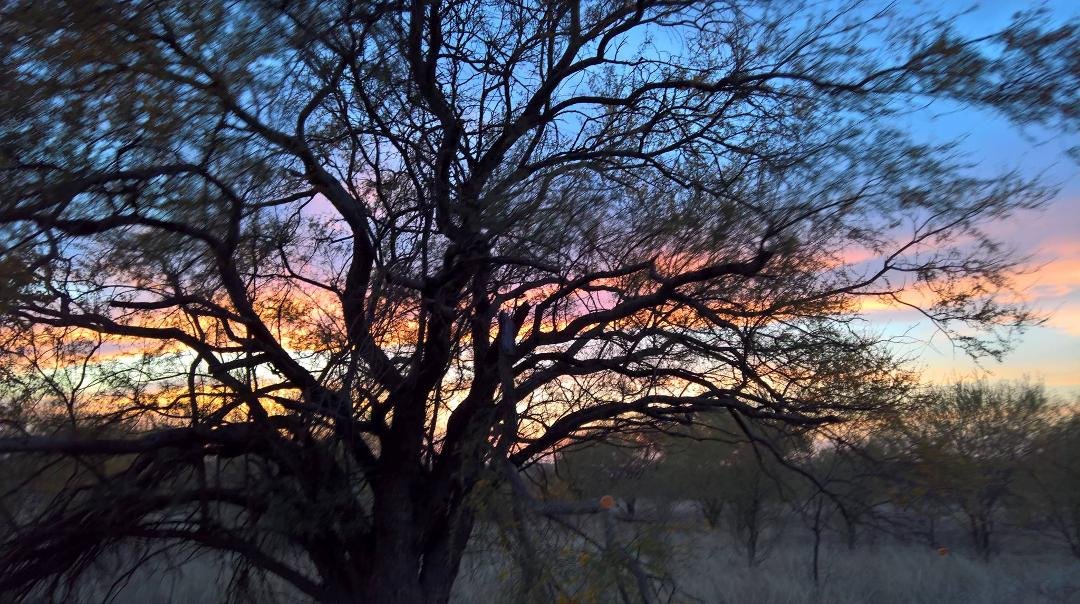 A couple more days here and we'll move on. Amistad National Recreation area Del Rio Texas.