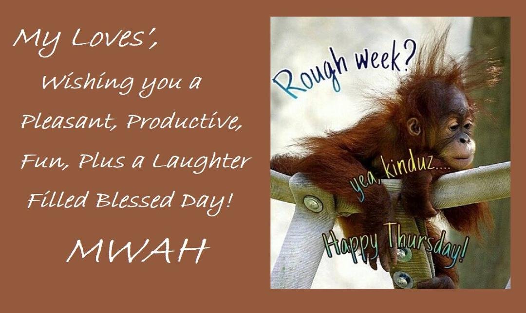 CHERYL SWARD's album, Timeline Photos