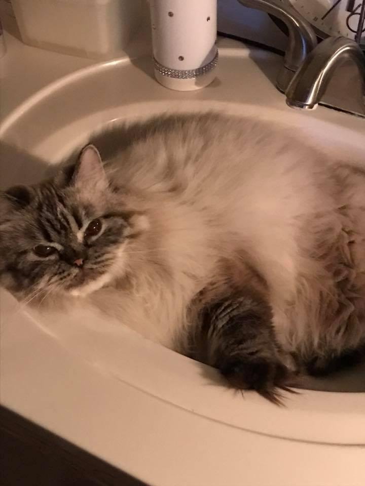 I fit perfect in here