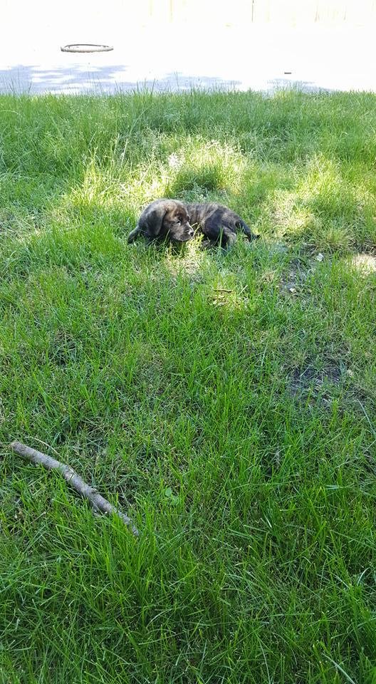 Chilling outside
