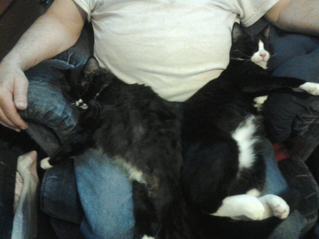 David Burton and our children
