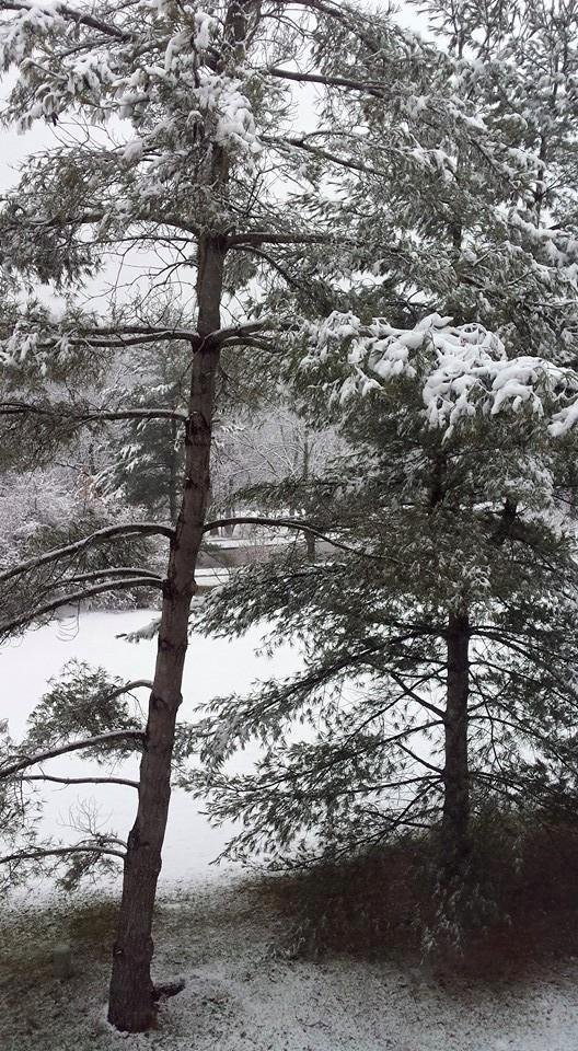 First day of spring in Maryland.