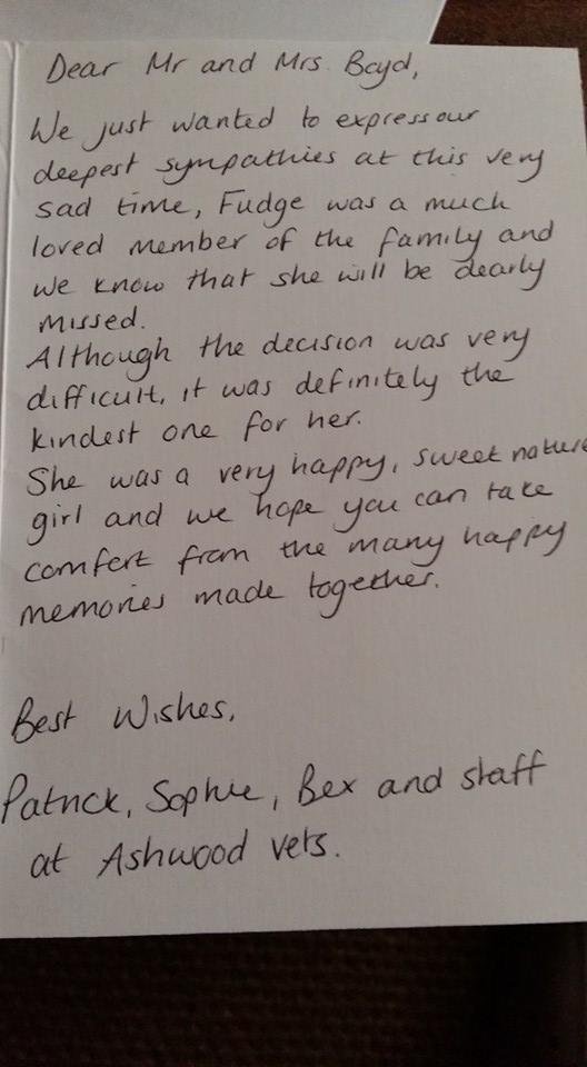 Thank you to Patrick, Sophie, Bex and all the staff at ASHWOOD VETS for the nice card, it brought more happy tears thinking of our we woman Fudge.