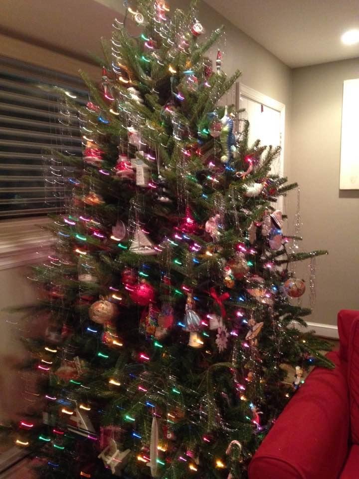 Eileen Bogdanoff's album, Timeline Photos