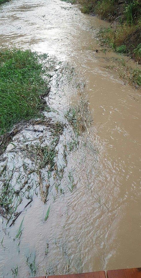 Phillips Ditch after the storms. About 2.5 ft depth bank to bank.