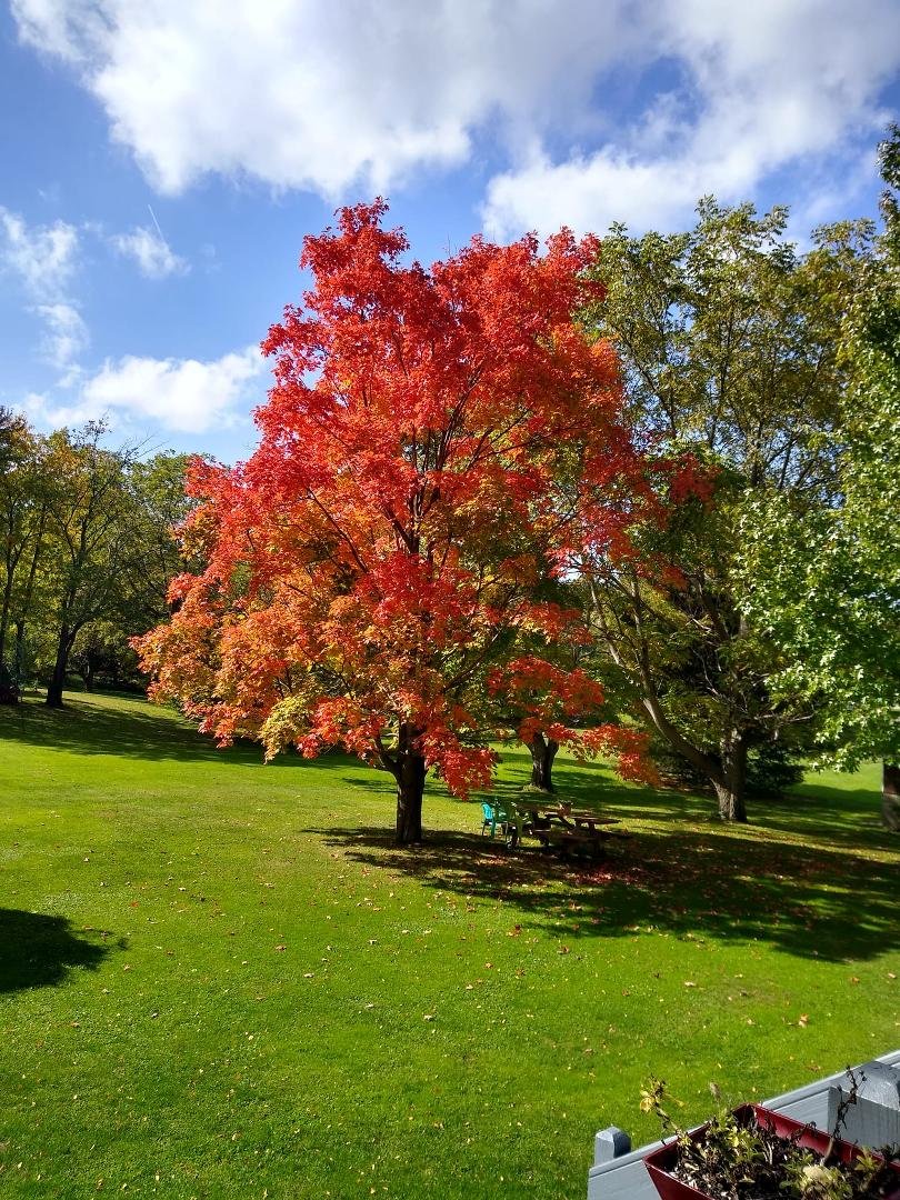 Mother Nature showing off.