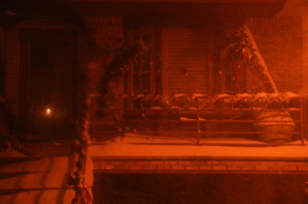 Someones Tropical Christmas display ICED over