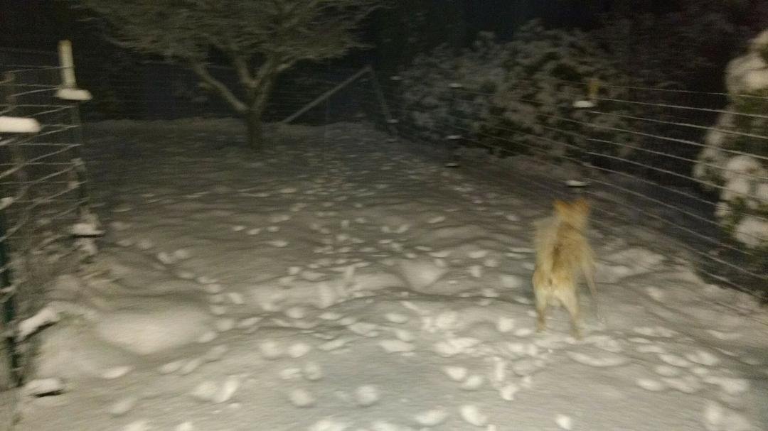 Corey likes snow!