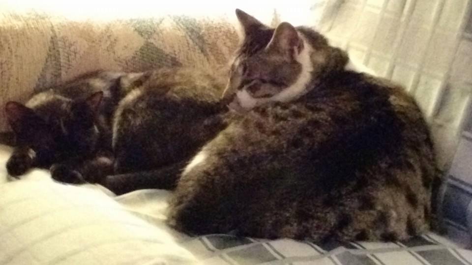 The end to another tough day for Spunk & Carlie