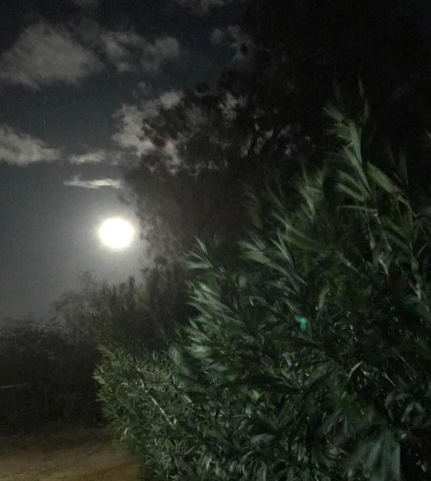 Super Moon from the front!