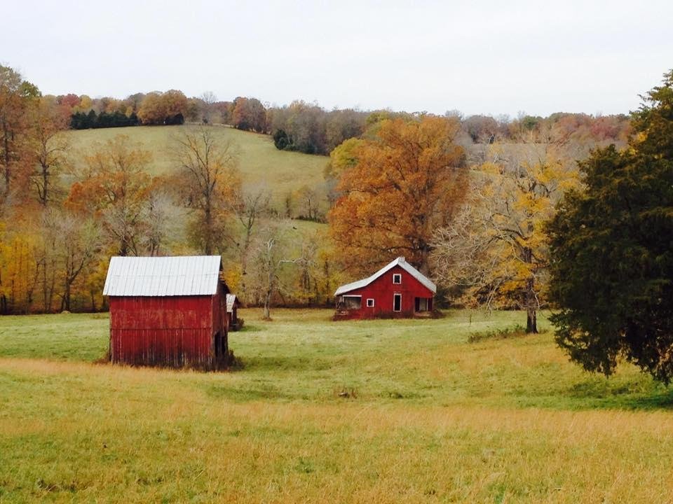 Cumberland Furnace, Tn
Photo taken by Carolyn Hummel