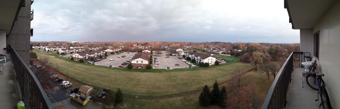 Hopefully I captured some of the low angled sun light because I could see it fading as I was taking the picture!