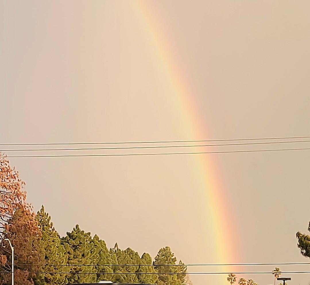 Valentine rainbow ~
