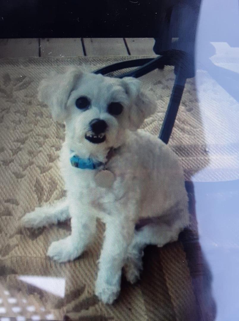 This is my little man, my crutch that keeps me sane.