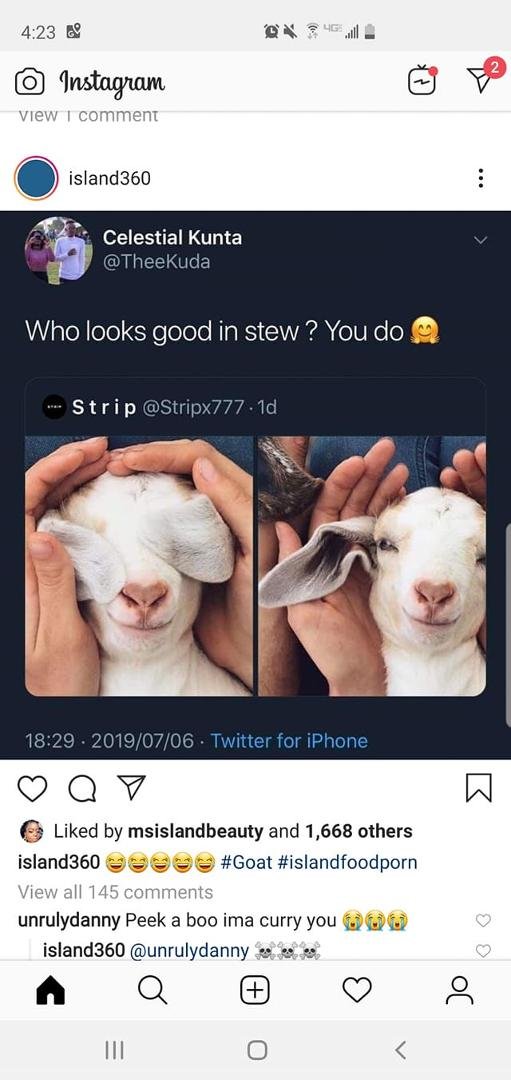 Lmao