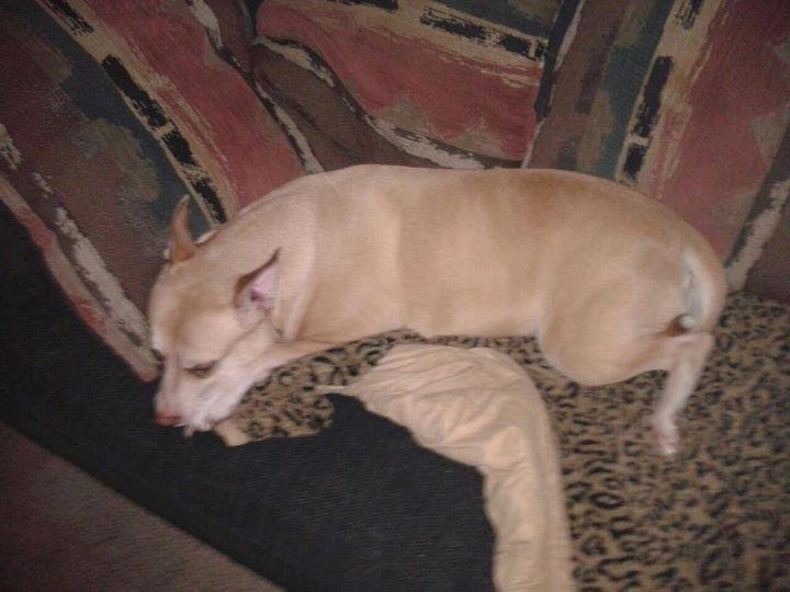 Kelli Mccaslin's album, Timeline photos