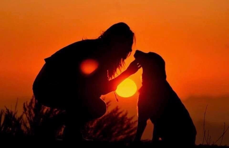 Love is ,,,!