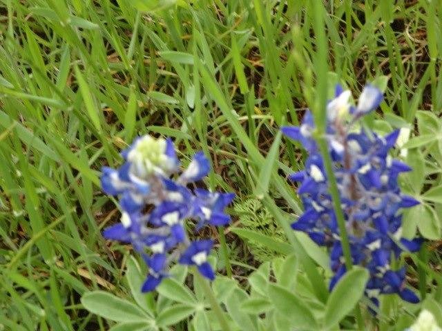 Jackie Garner's album, Timeline Photos
