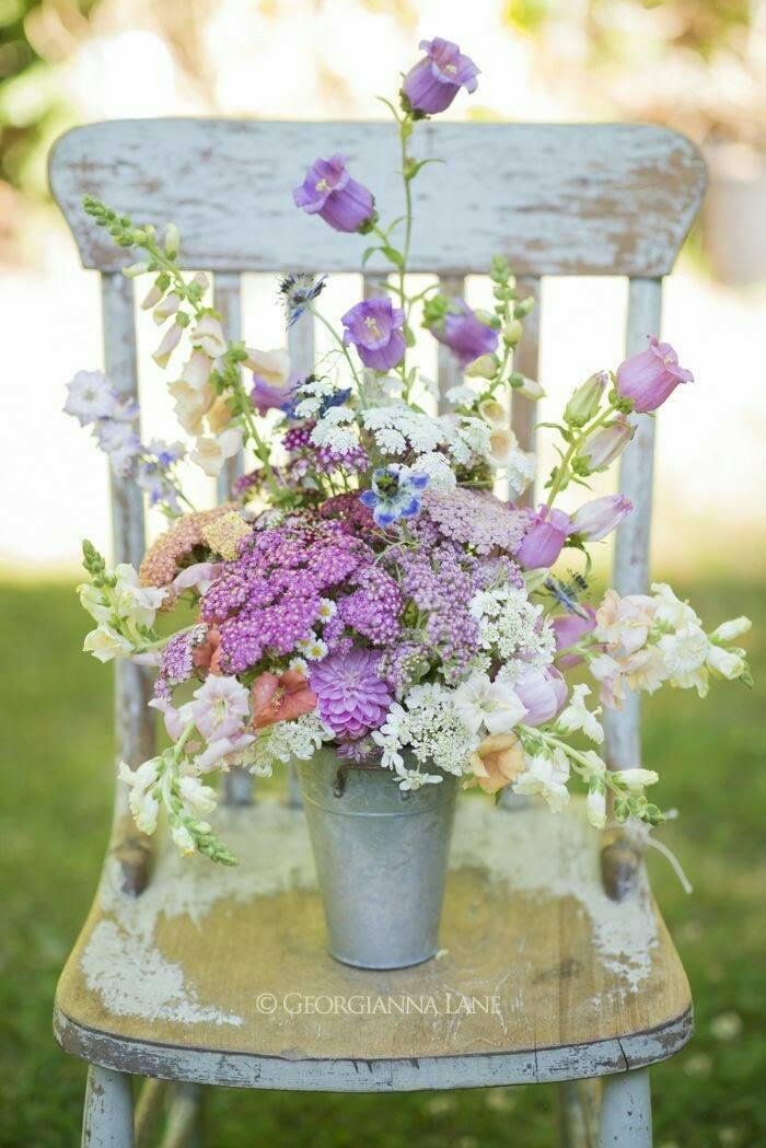 Kelly McCloskey's album, Timeline Photos
