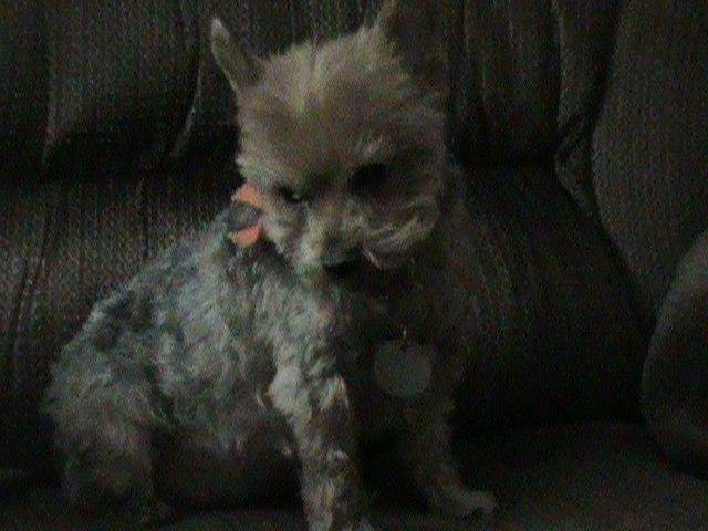 Tina Preston's album, Timeline Photos