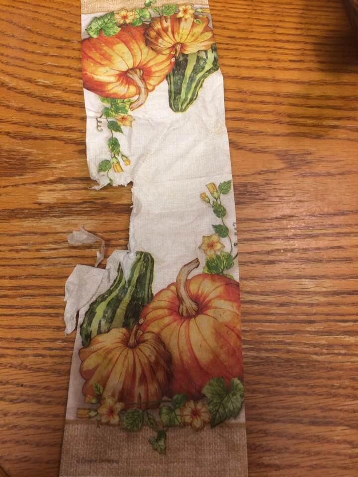 Penny had only one job to do for Thanksgiving and that was to fold the napkins. I hope she practices before Christmas 😉