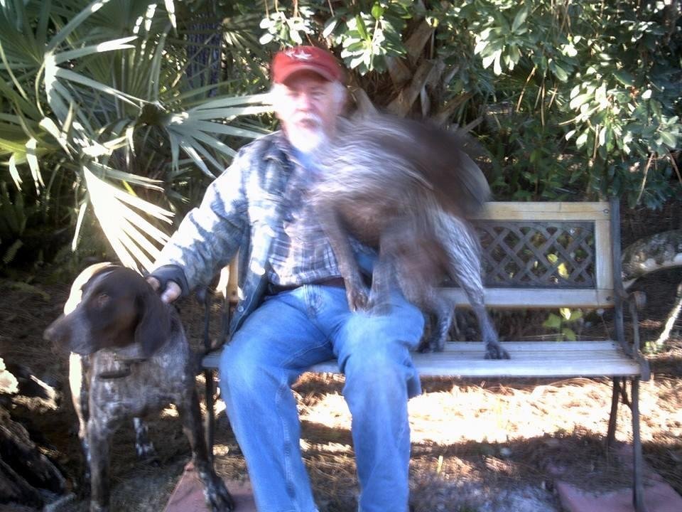 Larry J. Powell's album, Mobile Uploads