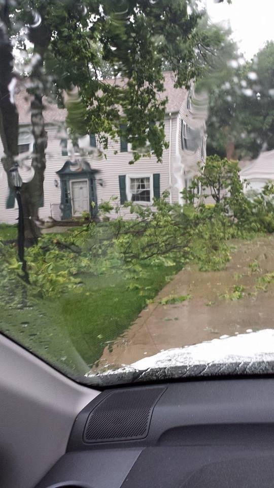 Our yard after the storm