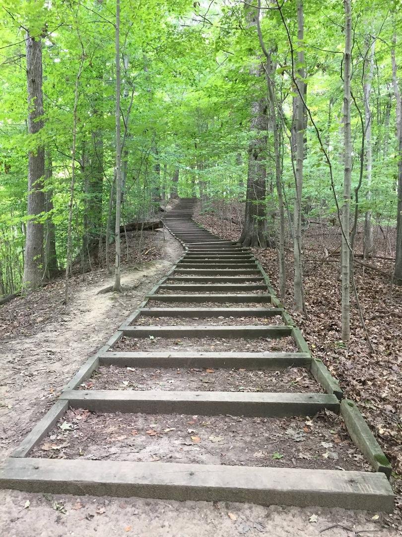 69 steps. Ran twice. Glad it has cooled down from upper 80s. Some possibility of an afternoon nap. The dogs enjoyed the run and each got a large drink when we got home. The Lab is already hunkering down for a nap. The