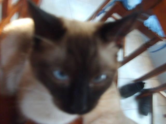 Tim Proctor's album, Timeline Photos