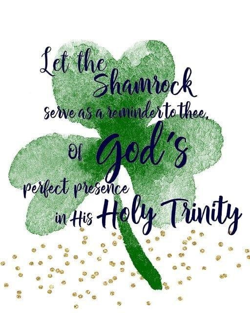 Tracy Odonnell's album, Timeline photos