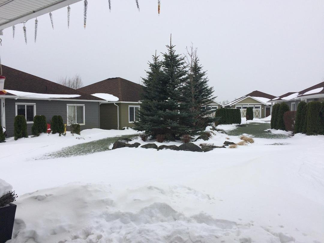 Bruce Mountain's album, Timeline Photos