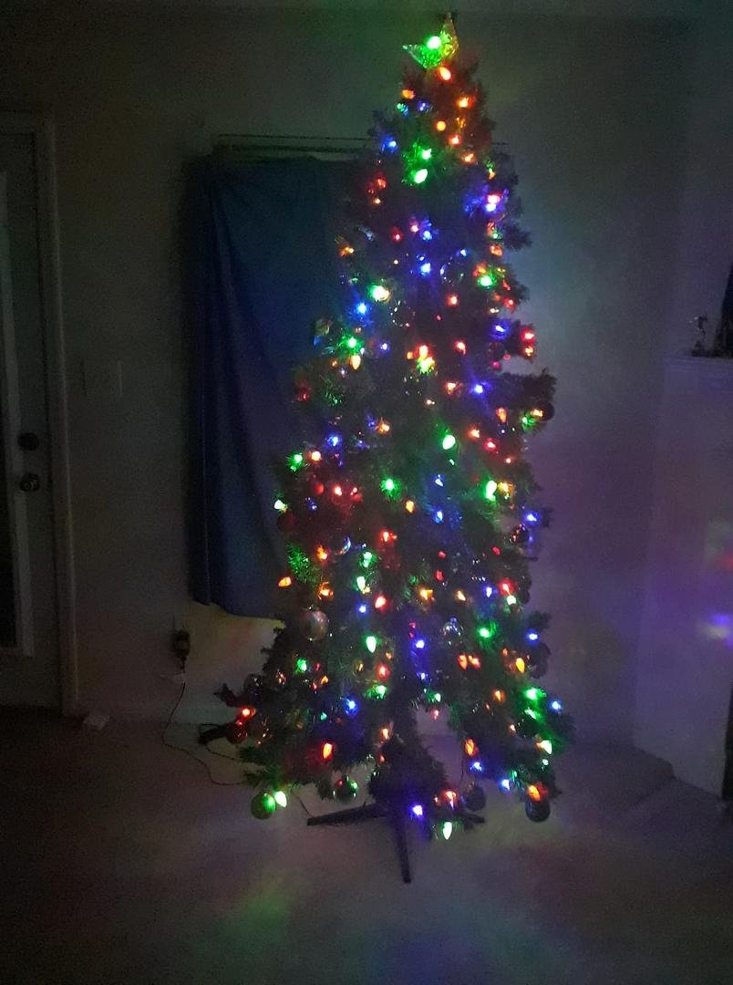 Losee Christmas 2018