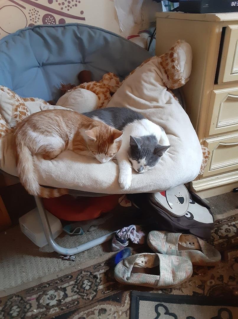 My twin boys so cute when there sleeping