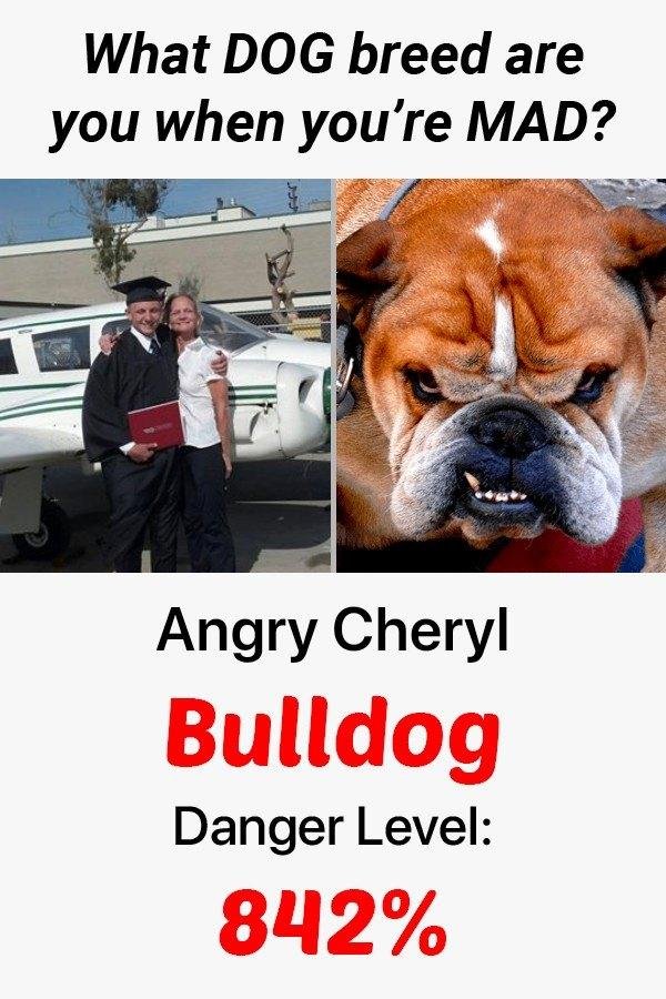 Cheryl Humphry's album, Mobile Uploads