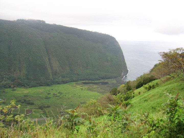 Sharon Penner's album, Hawaii 2011