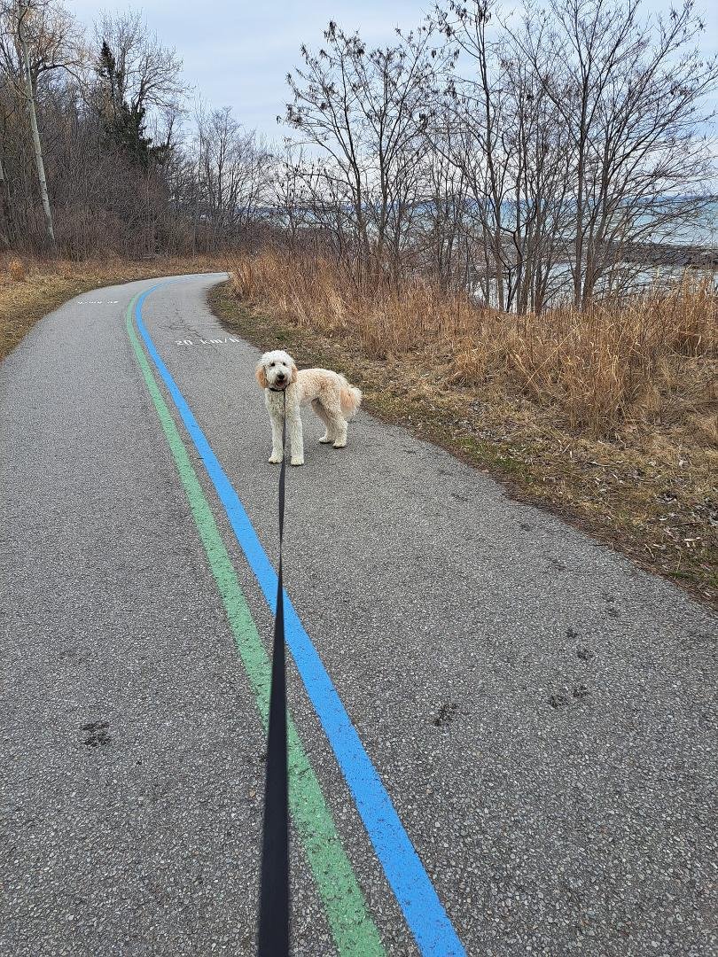 Ye olde waterfront trail near Rouge Beach, Belmont's first scrimmage with a Great Lake.