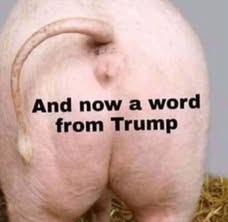 The GOP has been telling us what a wonderful job they are doing.