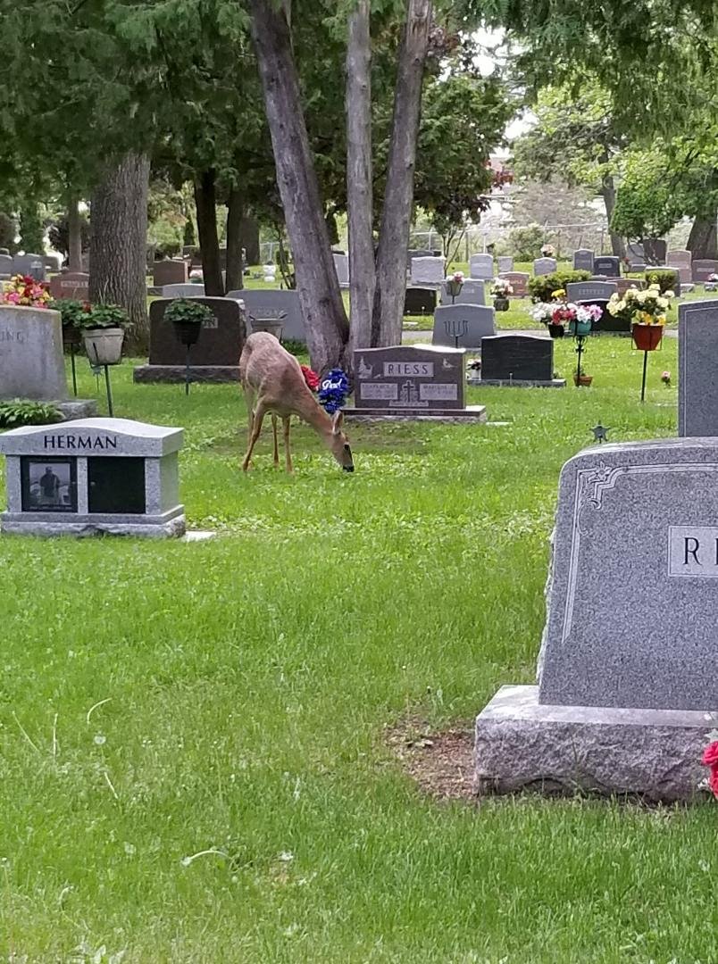 We had a visitor today while putting flowers out🙂
