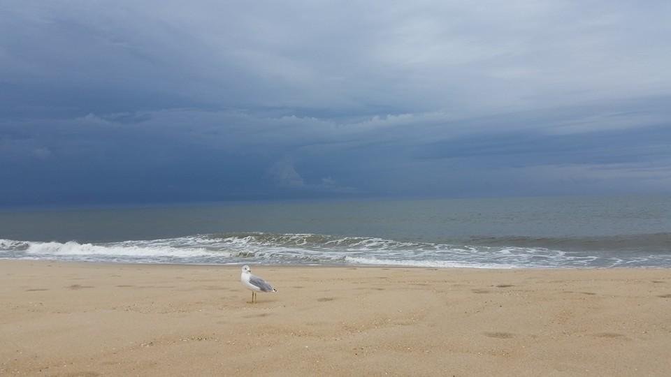 Looks like its me and the bird today