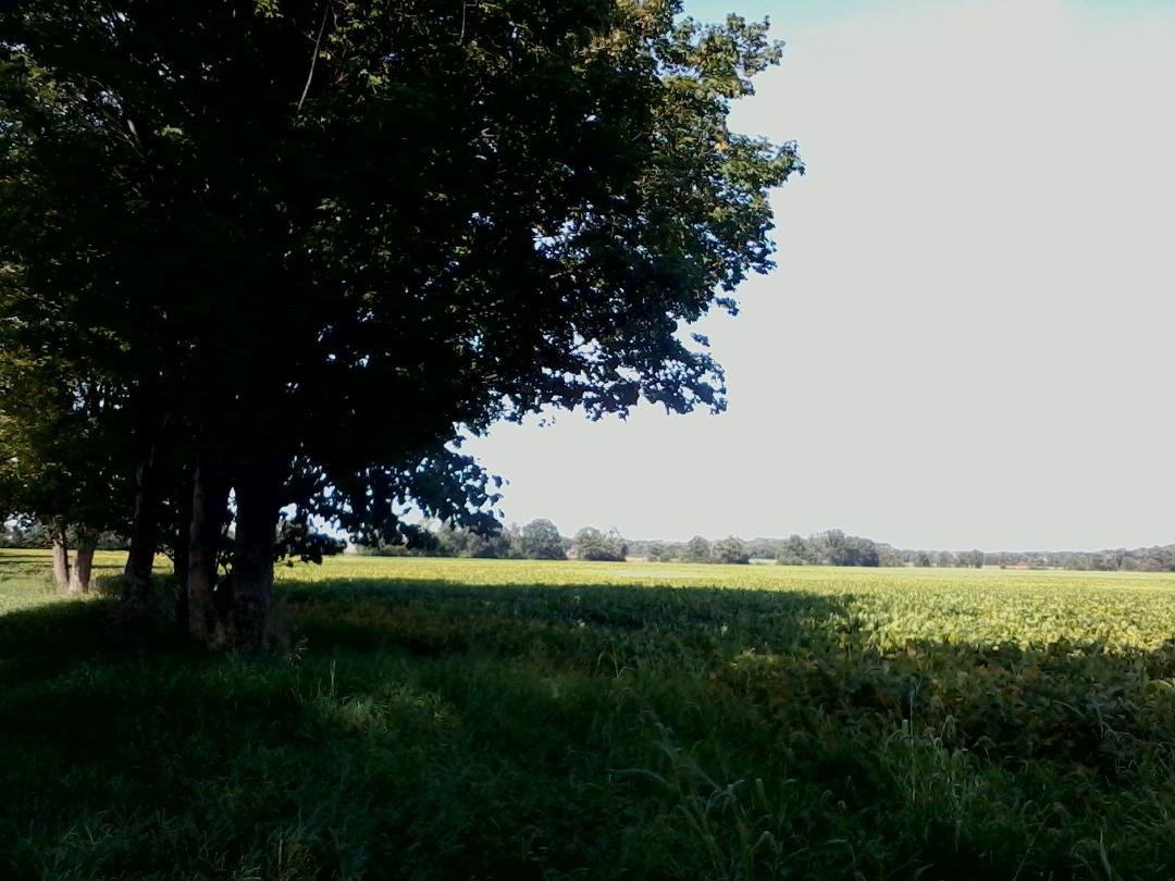 It was a pleasant day for a long bike ride along the back roads of Washtenaw County.