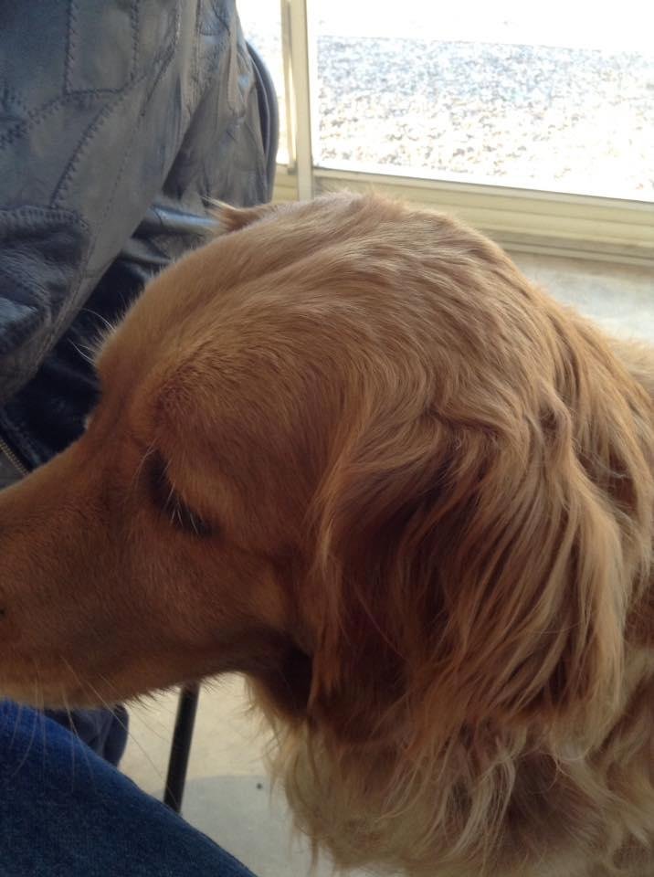 It's all about Jake today. If anyone doesn't like it, too bad.