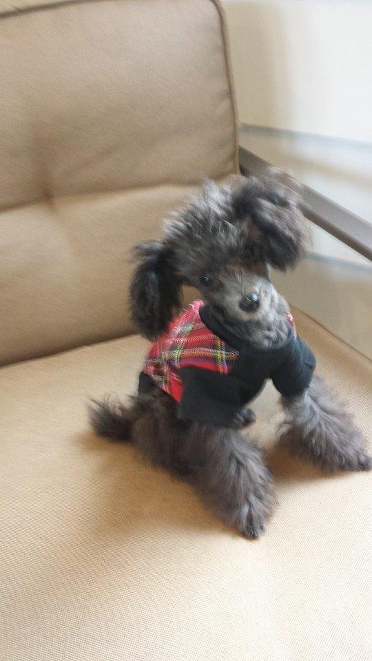 Finnegan ready for another day at the office
