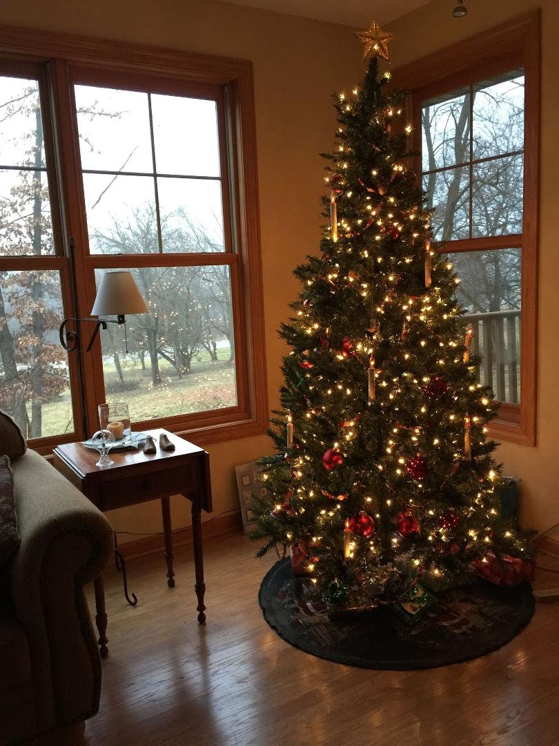 Warm Christmas Wishes