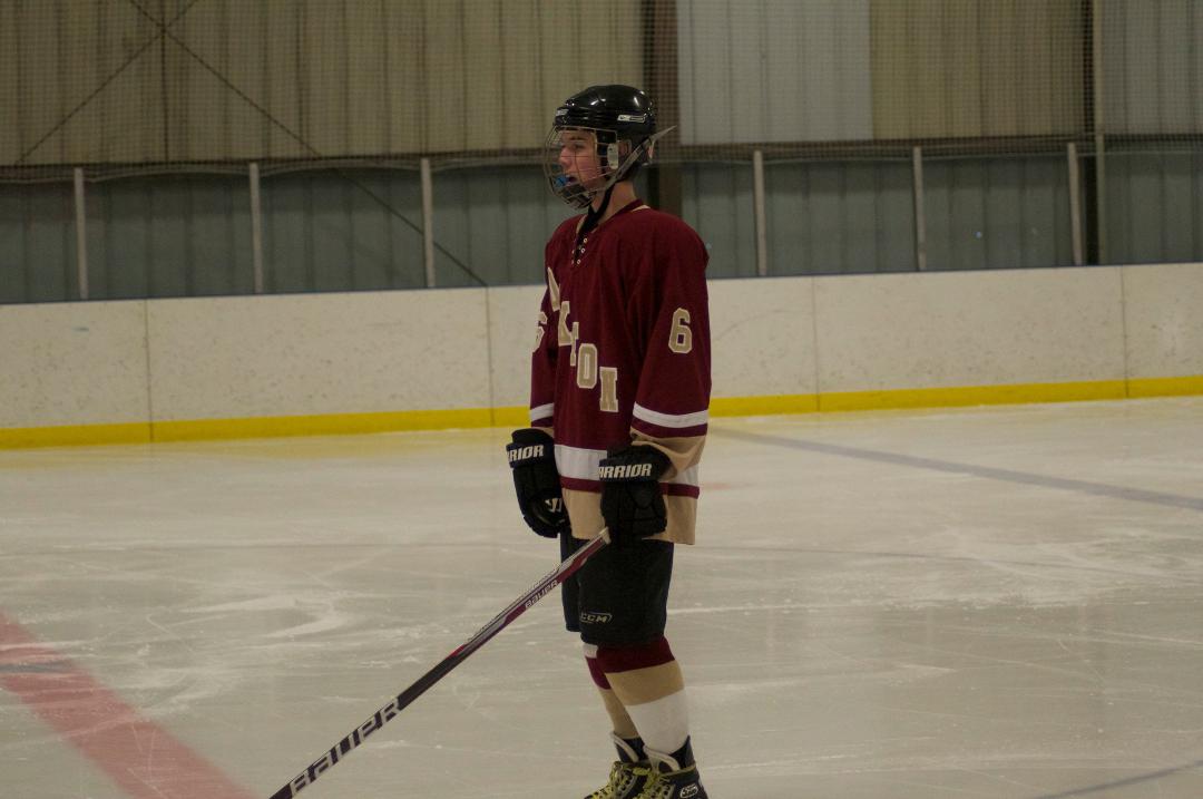 Beverly Riemann's album, HOCKEY GAME - OAKTON/GMHS GOLD