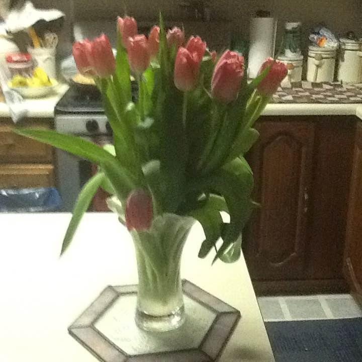 These are from my daughter in law from Massachusetts