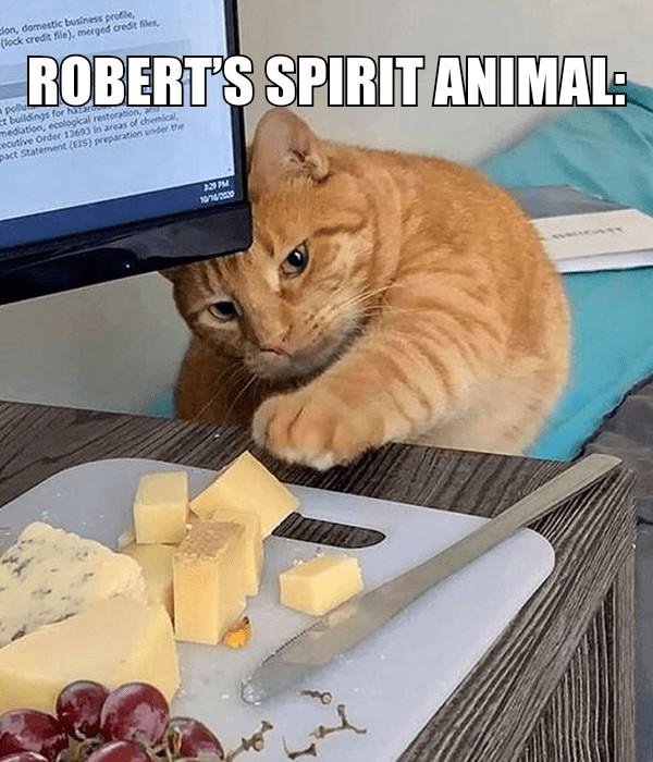 Robert Smith's album, Timeline photos