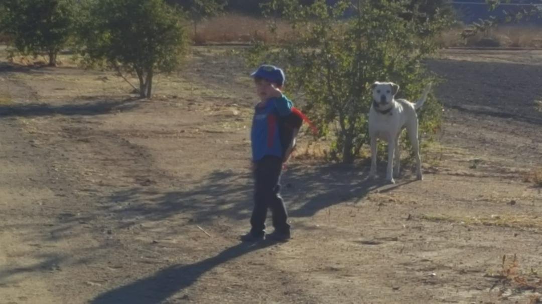 Scott wanted to go on my walk with Marley this morning