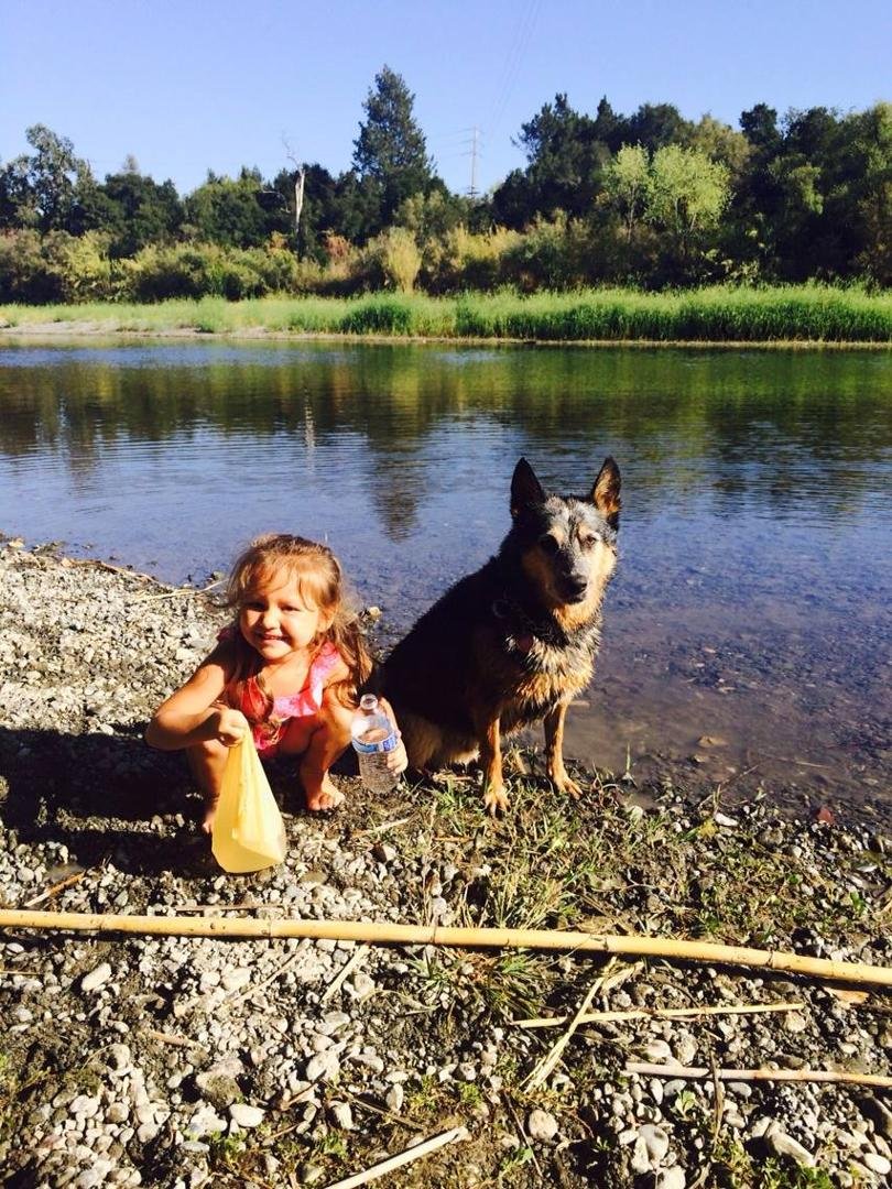 Russian River Healdsburg